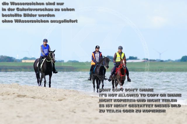 s_K3F05044.JPG